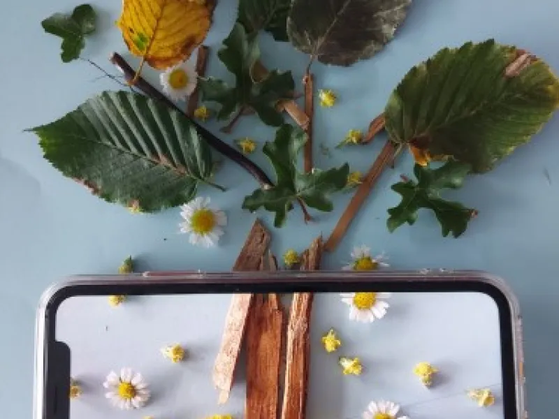 Phone Framing